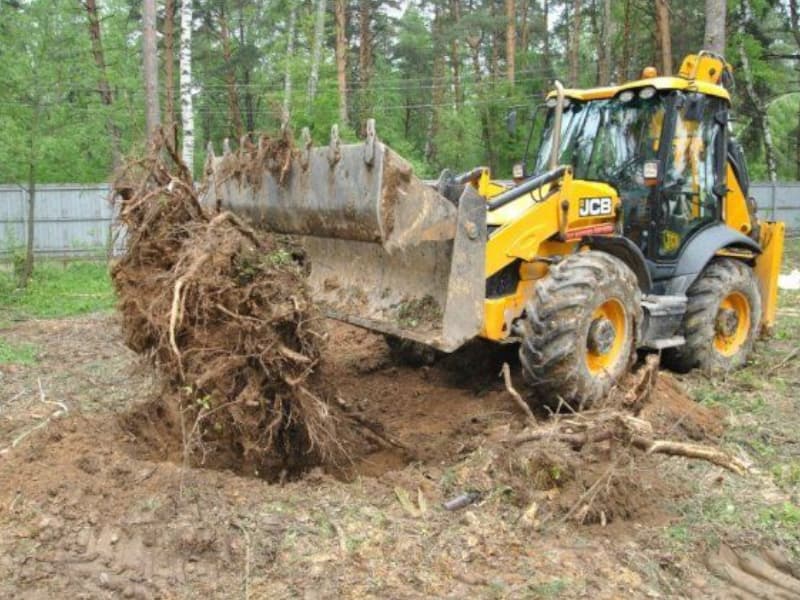 Корчевание пней и расчистка